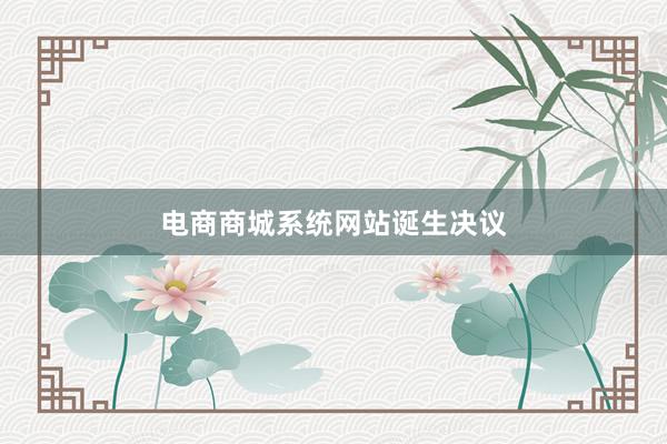 电商商城系统网站诞生决议