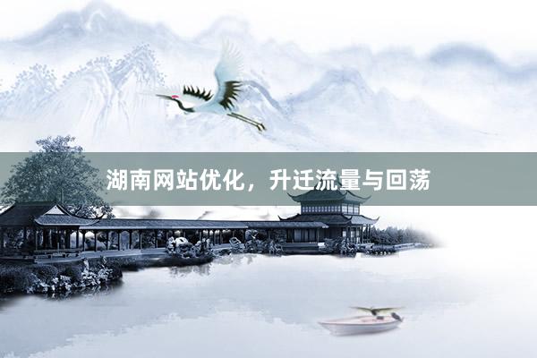 湖南网站优化，升迁流量与回荡